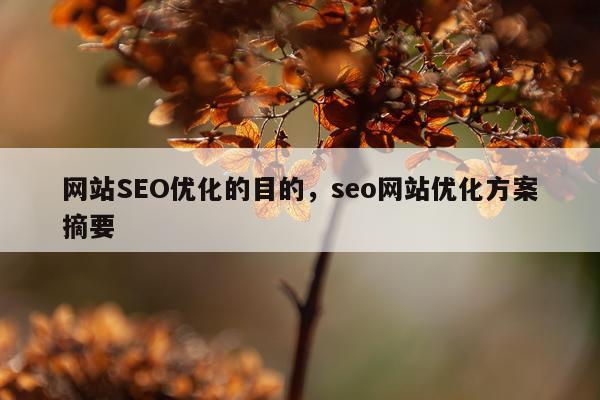 网站SEO优化的目的,seo网站优化方案摘要
