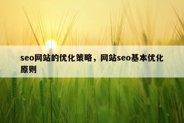 seo网站的优化策略,网站seo基本优化原则