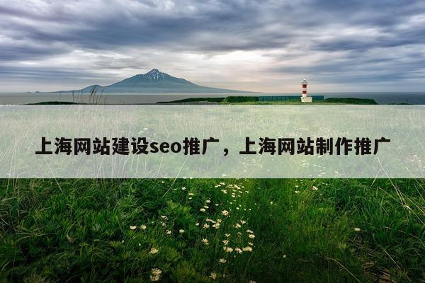 上海网站建设seo推广,上海网站制作推广