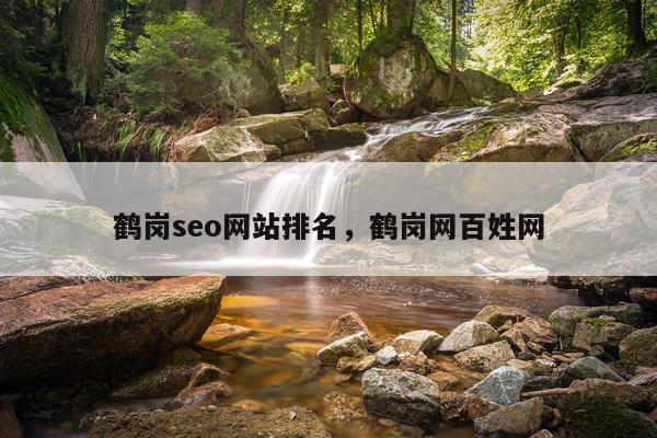 鹤岗seo网站排名,鹤岗网百姓网