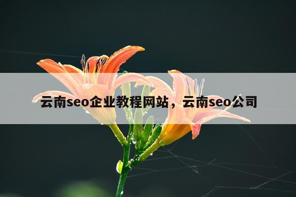 云南seo企业教程网站,云南seo公司