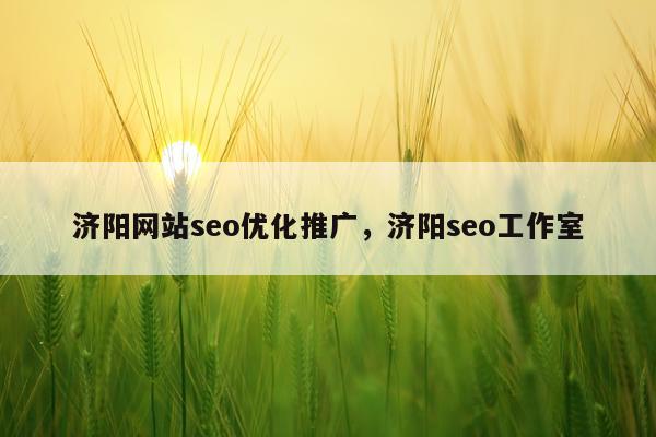济阳网站seo优化推广,济阳seo工作室