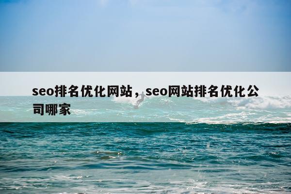 seo排名优化网站,seo网站排名优化公司哪家