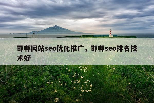邯郸网站seo优化推广,邯郸seo排名技术好