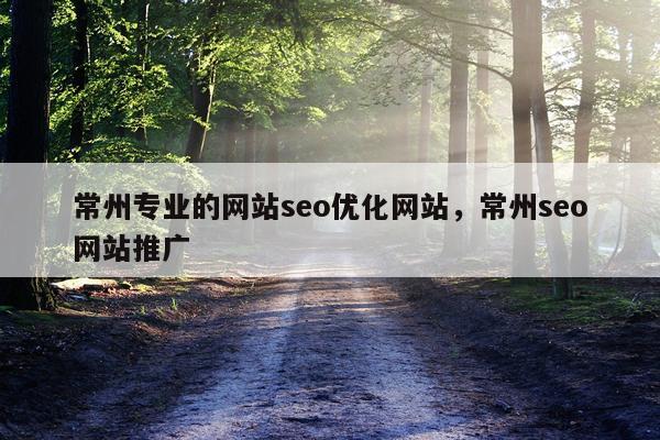 常州专业的网站seo优化网站,常州seo网站推广