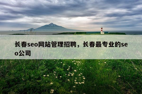 长春seo网站管理招聘,长春最专业的seo公司