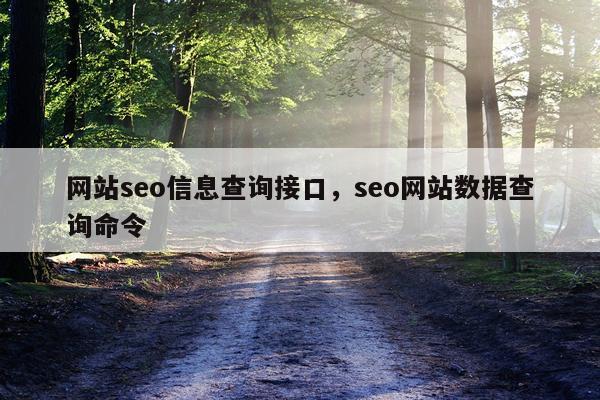 网站seo信息查询接口,seo网站数据查询命令