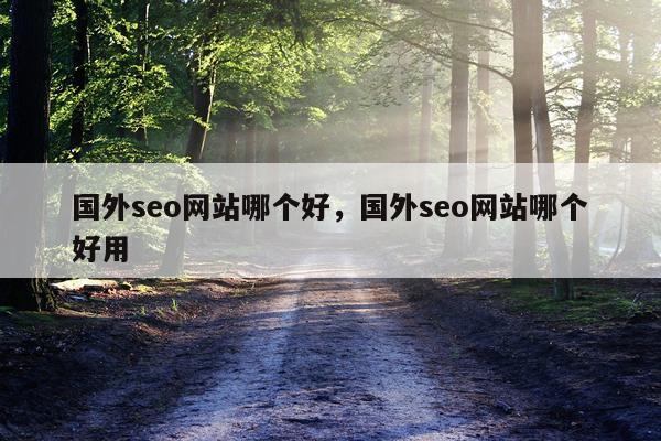 国外seo网站哪个好，国外seo网站哪个好用