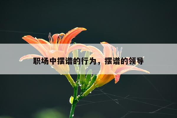 职场中摆谱的行为,摆谱的领导