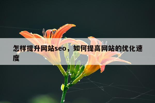 怎样提升网站seo,如何提高网站的优化速度