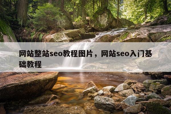 网站整站seo教程图片,网站seo入门基础教程