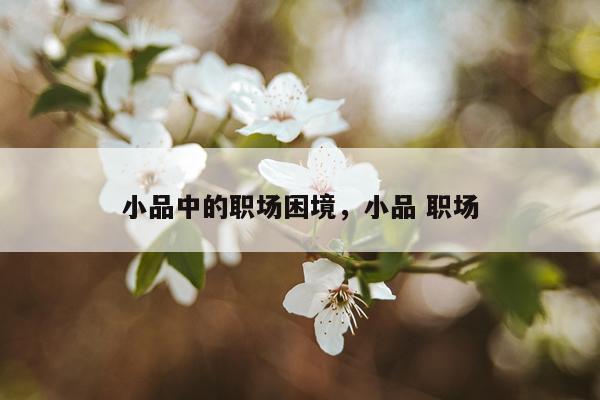 小品中的职场困境,小品 职场