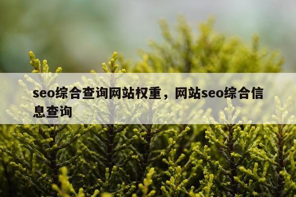 seo综合查询网站权重,网站seo综合信息查询