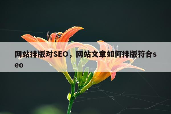 网站排版对SEO,网站文章如何排版符合seo