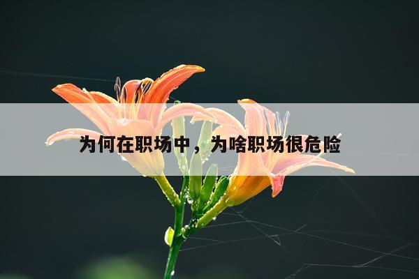 为何在职场中,为啥职场很危险