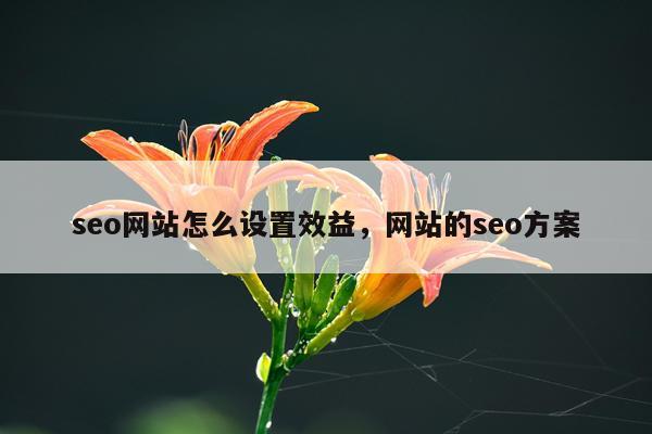 seo网站怎么设置效益,网站的seo方案