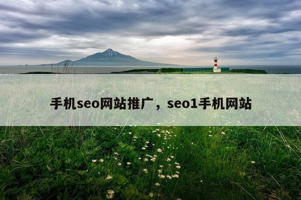 手机seo网站推广,seo1手机网站