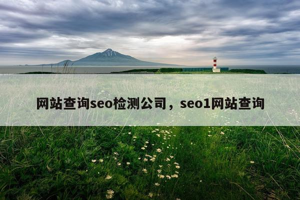 网站查询seo检测公司,seo1网站查询