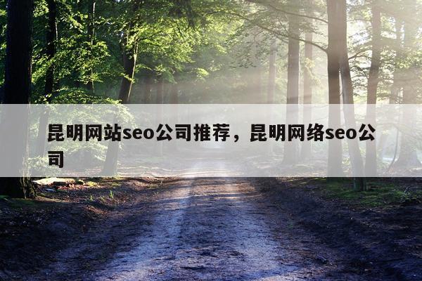 昆明网站seo公司推荐,昆明网络seo公司