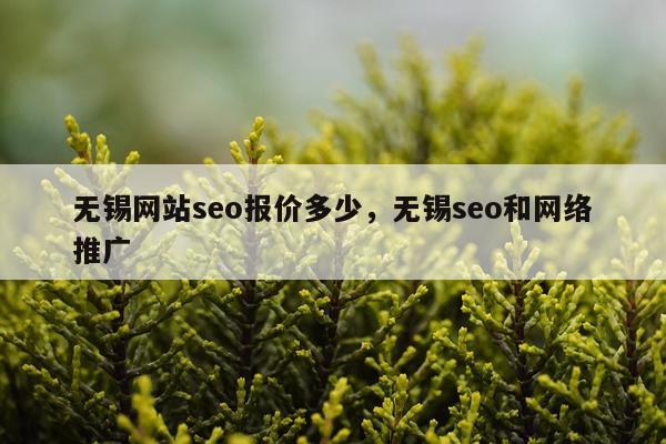 无锡网站seo报价多少,无锡seo和网络推广