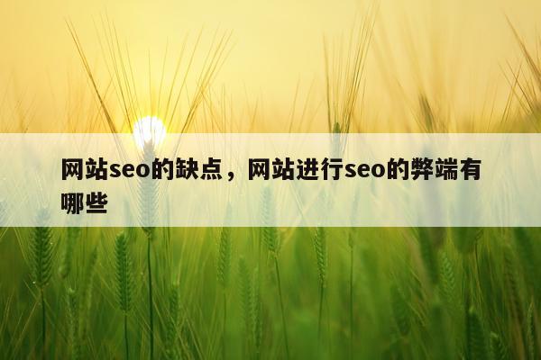 网站seo的缺点,网站进行seo的弊端有哪些