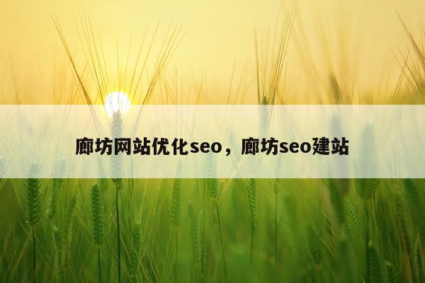 廊坊网站优化seo,廊坊seo建站