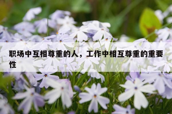 职场中互相尊重的人,工作中相互尊重的重要性