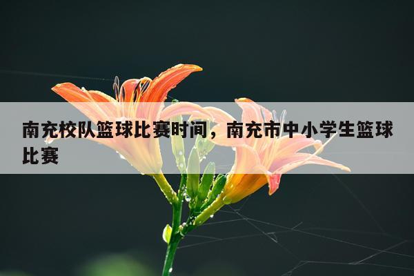 南充校队篮球比赛时间,南充市中小学生篮球比赛