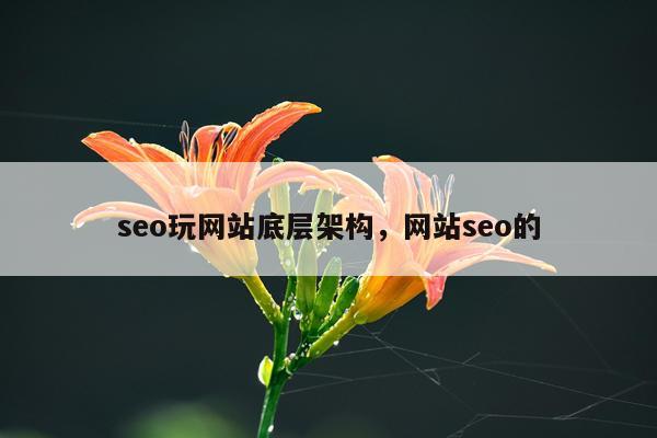 seo玩网站底层架构,网站seo的