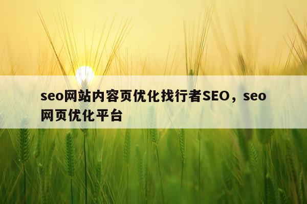 seo网站内容页优化找行者SEO,seo网页优化平台
