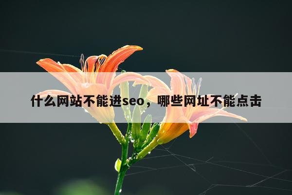 什么网站不能进seo,哪些网址不能点击