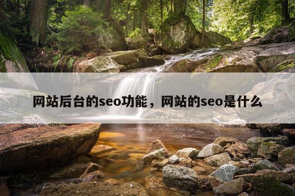 网站后台的seo功能,网站的seo是什么