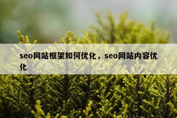 seo网站框架如何优化,seo网站内容优化