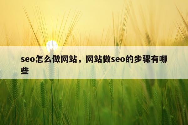 seo怎么做网站,网站做seo的步骤有哪些